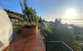 Casa Oro Glamping Hostel